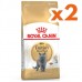 Royal Canin British Shorthair Kedilerine Özel Mama 10 Kg x 2 Adet