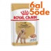 Royal Canin Pouch Poodle Irkı Özel Yaş Köpek Maması 85 Gr - 6 Al 5 Öde